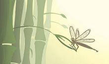 风水学财位不能放什么