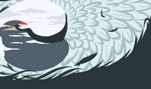 家中风水禁忌和化解方法