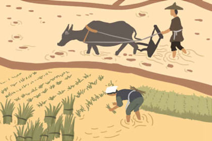 动物的生命是什么？