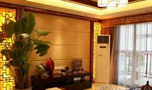 家里养什么垂吊植物有利主人运势