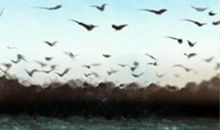 文昌位在风水中到底起到什么作用？