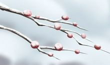 2021年3月11日是几九第几天 数九当天宜忌查询