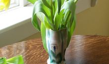 心理测试：4瓶花，选一瓶喜欢的，测你晚年生活是幸福还是富贵