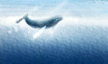 2021年5月30日是黄道吉日吗 本日时辰吉凶查询