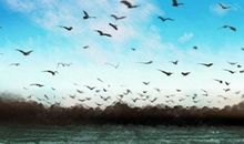 正月二十三出门吉利吗 2021年正月二十三出门好不好