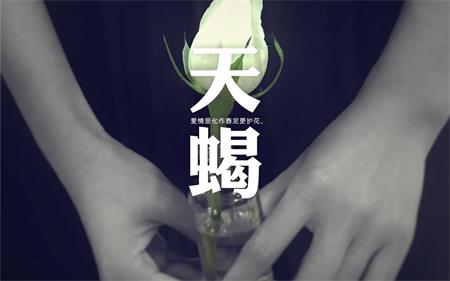 不要孤独，这些星座拒绝单调2