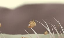 形容元宵节的唯美句子 注意事项