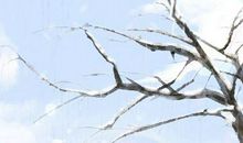 2021年农历二月二十七阳历是哪一天 黄历几月几号