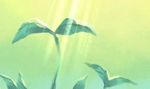 2021年6月29日是什么日子 老黄历吉凶宜忌查询