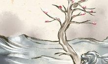 2021年3月12日是几九第几天 民间流传的数九歌