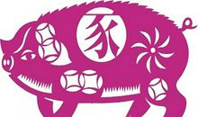 近期内生肖猪的健康状况