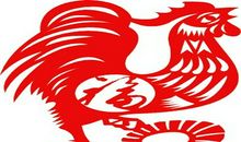 近期内生肖鸡的健康状况