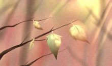 2018年正月开张吉日，2018年正月开张好日子