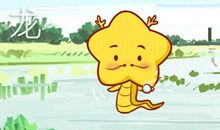 88年的属龙男命2021牛年运势 感情坎坷