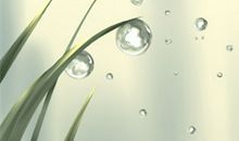 各血型君在生活中的不同表现