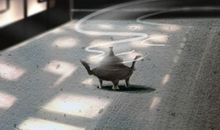 事业运好的女命八字特点