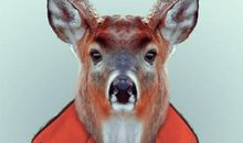 金牛座的伪装面具