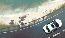 2021年属虎人几月提车好 生肖虎2021提车黄道吉日