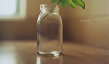 白羊座的适配星座