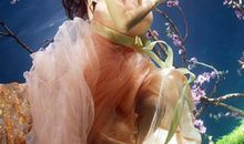 如何避免金牛座破坏你的情绪