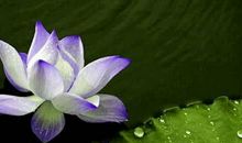 金牛座就是这样子