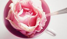 如何拯救白羊座空心族