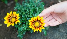 2021年春节风水小细节