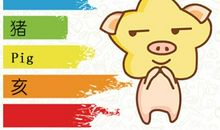 19年出生的属猪人2021年总运势详解 运程怎么样