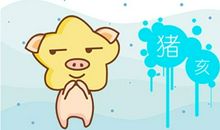 2021年生肖猪的人情感婚姻运势怎么样