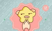 95年出生的生肖猪2021年运程好吗 26岁有贵人相助