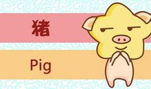2021年生肖猪的几月运程较厉害