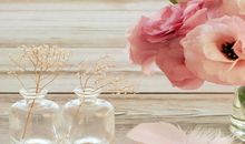 海百合今日星座运势（2017年12月8日）