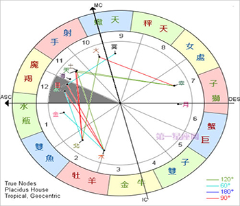 宫殿宫殿：关于第十二宫的重要性的详细解释