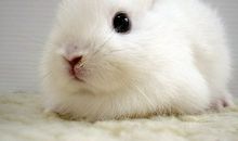 金牛座为何尴尬？