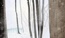 2021年3月3日九九是什么意思 怎么计算的