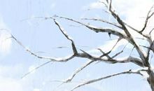 2021年九九第一天是几号 九九一共有几天