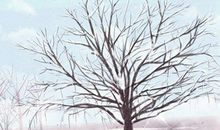 2021年最后一个九是什么时候 具体是哪天