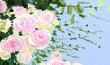 水象星座的性格特点