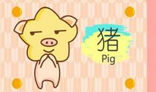 2021年生肖猪整体运势怎么样 男女生肖运程详解