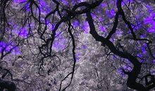 牡羊座三星区的深度分析