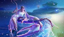 给狮子座的第1封信