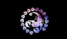 给天蝎座的第24封信