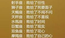 12星座在意另一半过去的指数