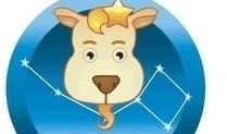 魔羯男以貌取人指数