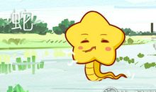 属蛇男婚后谁会藏私房钱