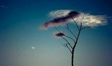 给金牛座的第548封信