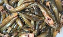 猫石对话每日运势2013年6月2日