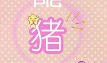 吃鸡遇到猪队友属猪的反应是什么