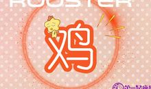 吃鸡遇到猪队友属鸡的反应是什么