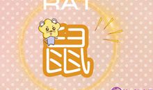 吃鸡遇到猪队友属鼠的反应是什么